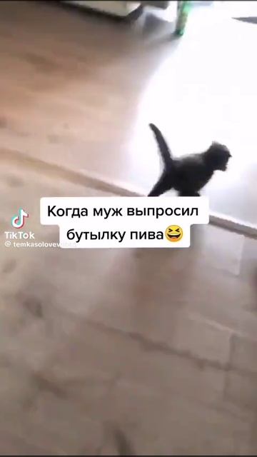 1000097389.mp4