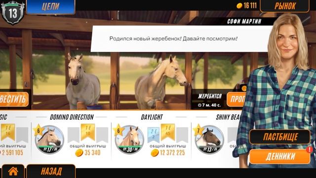 Новые жеребята на продажу в Rival Stars Horse Racing!