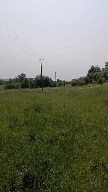 Деревенские пейзажи дарят положительную энергетику
