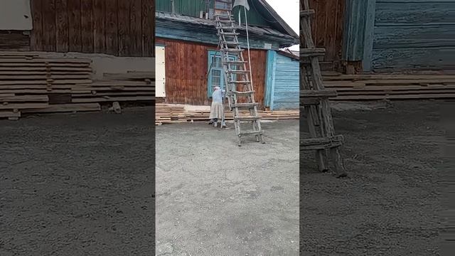 Расцвела миндаль  Уборка территории сестрой во Христе, Надеждой Дмухой  28 04 2025