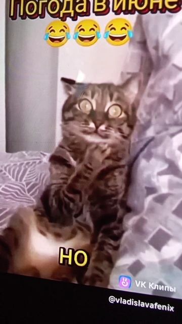 А Какая погода??!