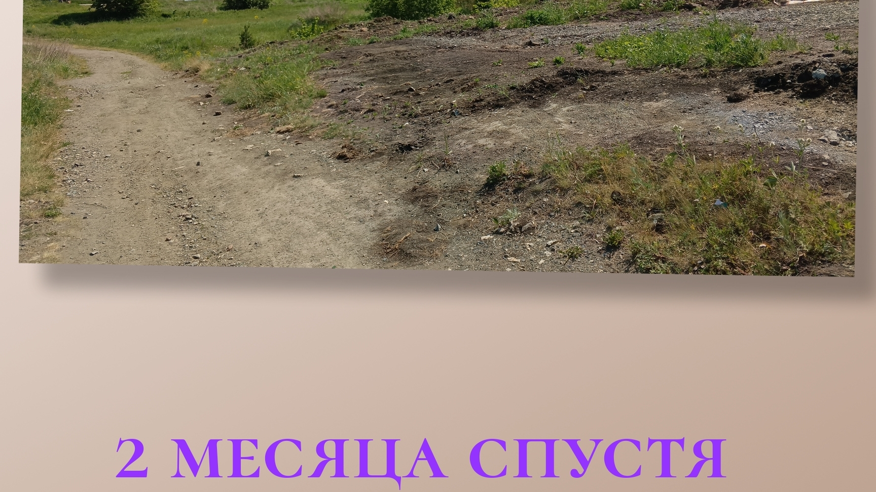 2 месяца спустя что изминилось?