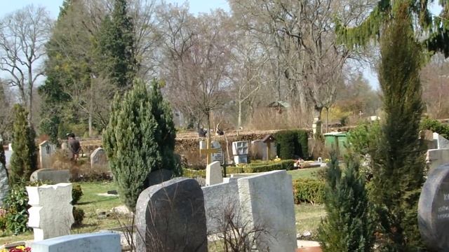 Звуки грусти/Sadness sounds