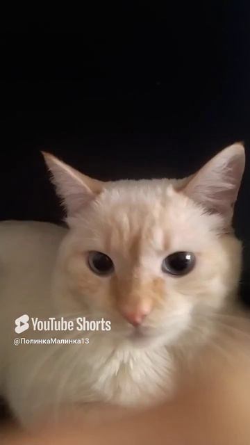 1000030437.mp4