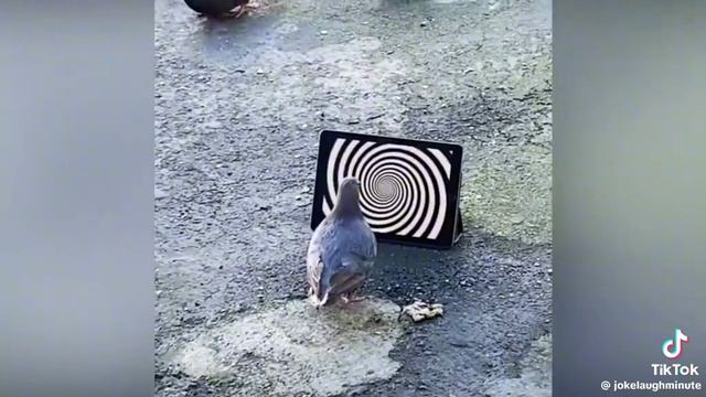 1000099428.mp4