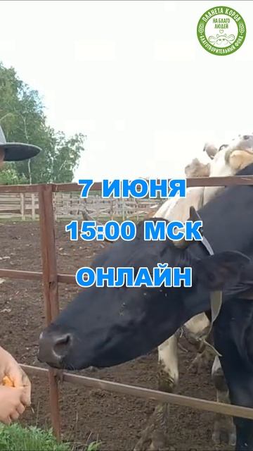 Друзья, сегодня 🗓 7 июня ⏰ 15:00 мск
в день ПАНДАВА ЭКАДАШИ, приглашаем вас накормить коров онлайн