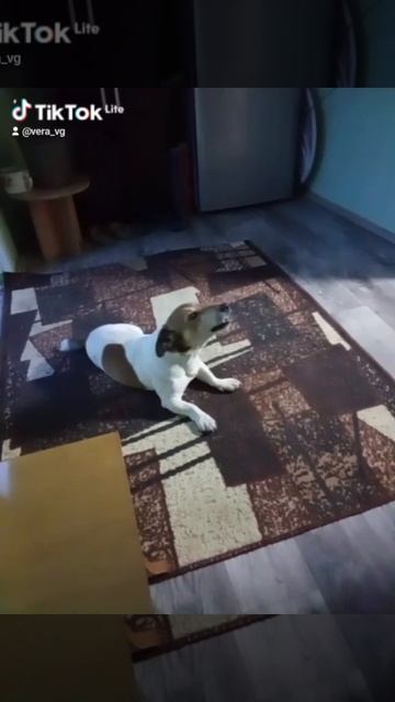 скандалист