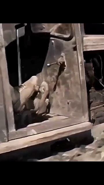 Мама родная Родительский дом У родного окна Разлукой измучена Пригублю вина За окошком Россия