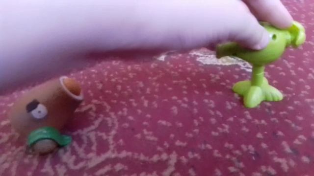 растения поссорились