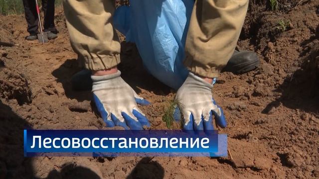 Коротко о важных событиях недели