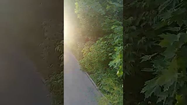 Красота природа