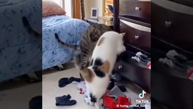 1000102217.mp4