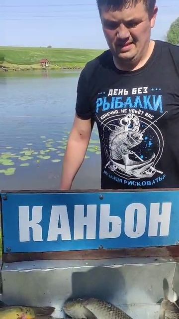 Рыбалка на карпа Каньон.