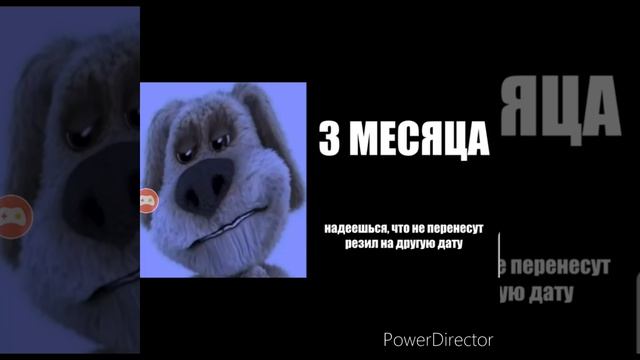 До выхода гта 6 осталось?