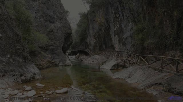 Мелодия, которая звучит как поцелуй под звёздами... - Why Me -- Omura -- The Whales Bay