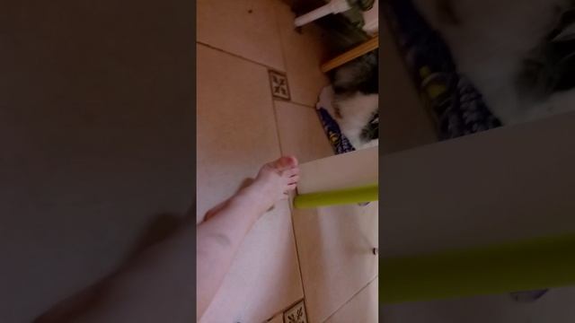 ,,,,