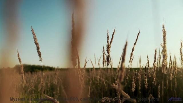 Когда музыка и природа создают идеальный момент! - Here for Years -- Ketsa -- 5D