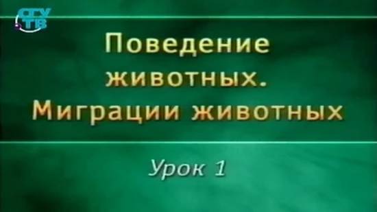 Миграции животных # 1. Происхождение и механизмы миграции животных