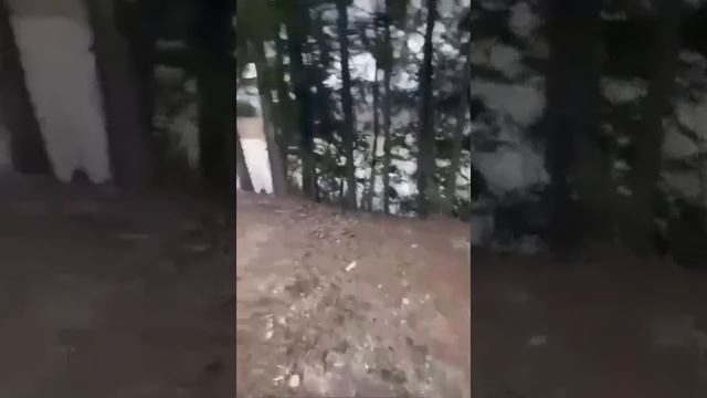 🤣 Бывает и такое