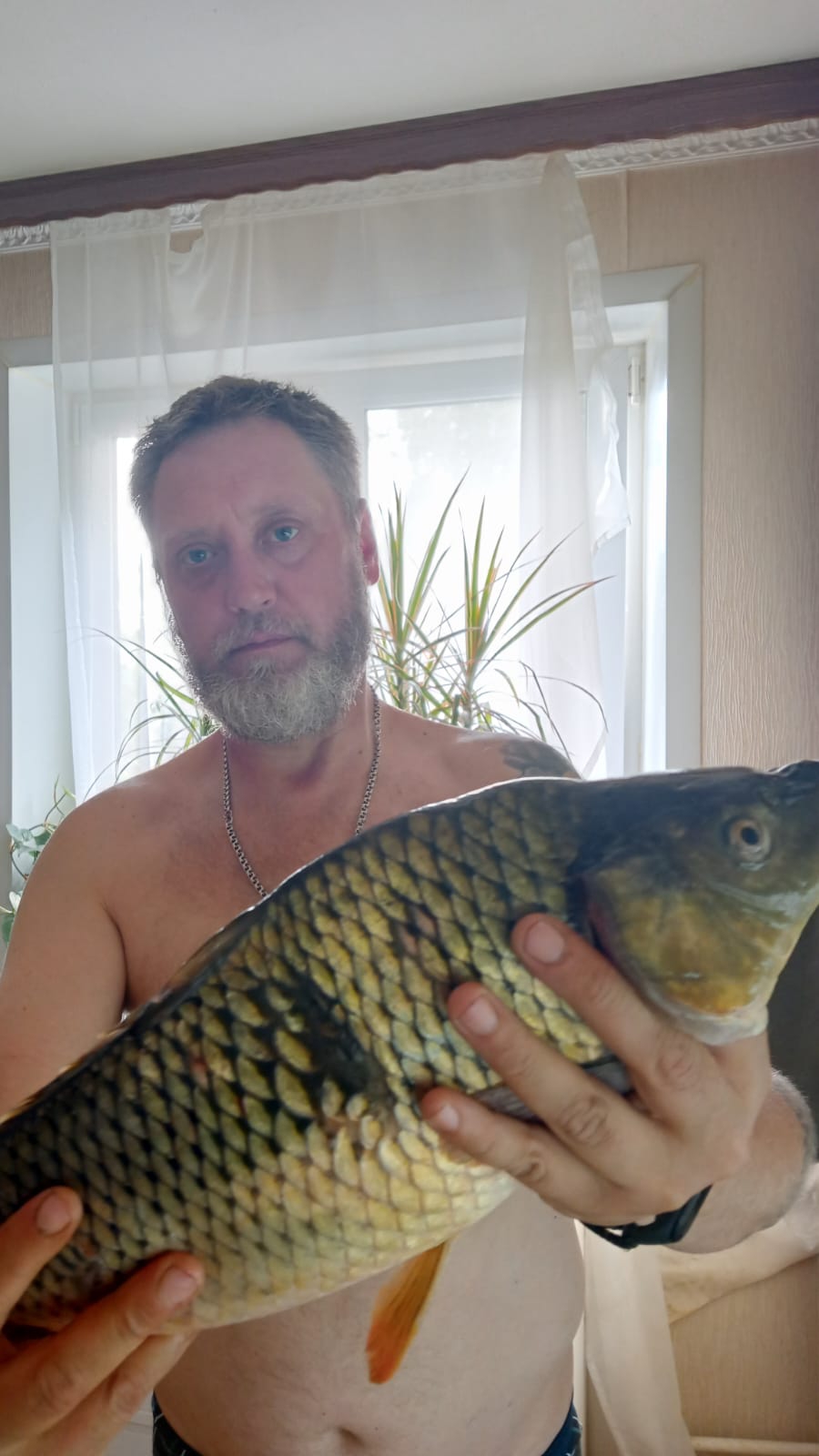 карпушка