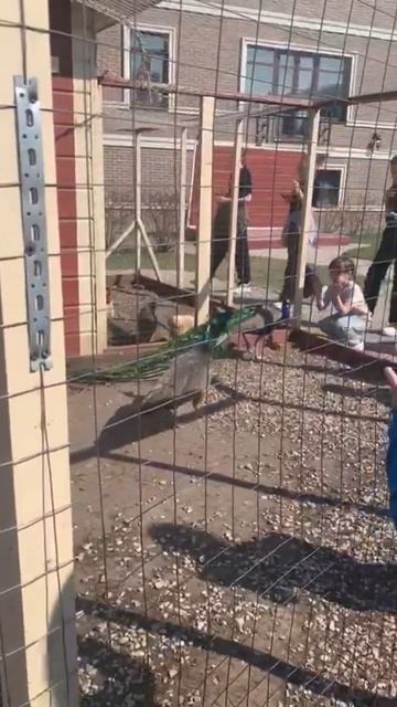 Эксскурсия в Казани.....