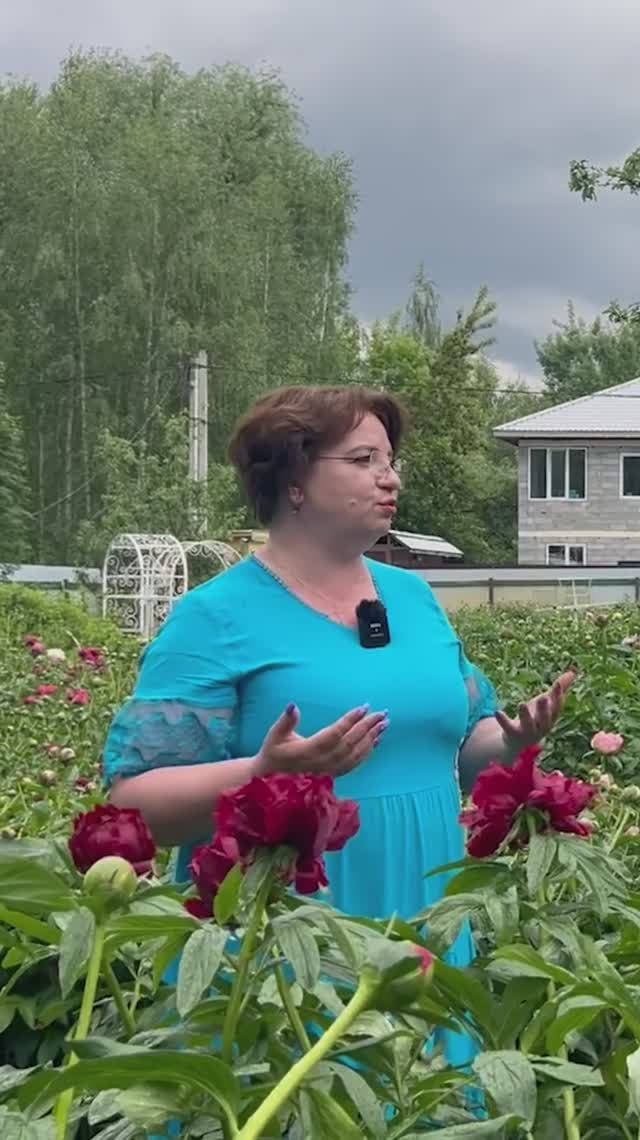 Новое видео на канале «Мария Кордубаева» 🧝🏻♀️
