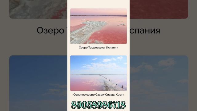 Новый ковчег в удивительной природе