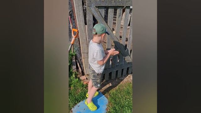 С нашими курами собак не надо, чем Ванёк развлекается в деревне)