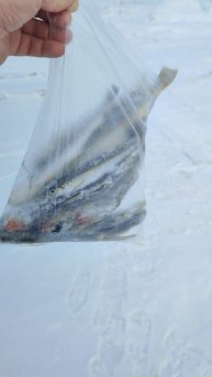 Рыбалка была вчера и завтра