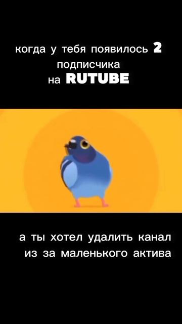 Прикол про мой актив
(спасибо тем 2 подписчикам)
