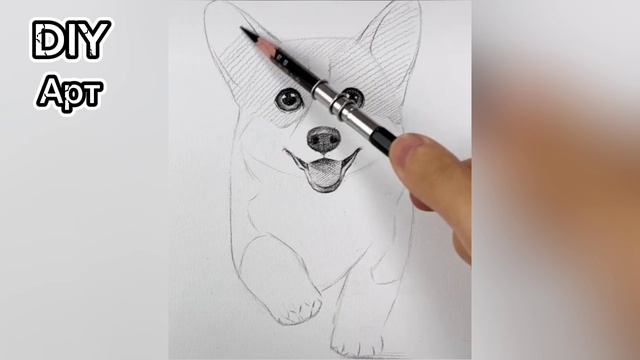 Корги простой рисунок карандошам. DIY
Арт