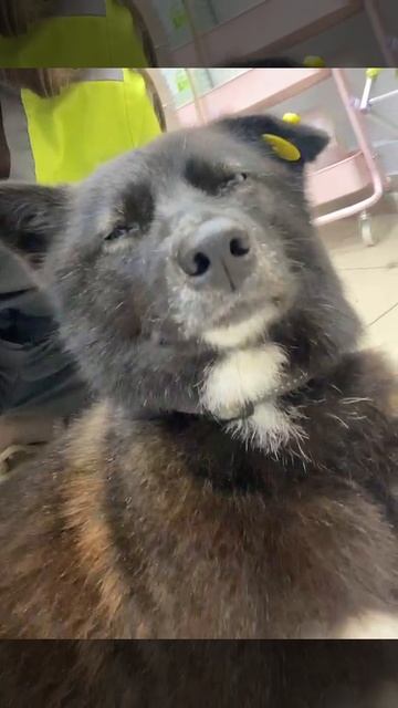 Какие голубые глаза❤️❤️