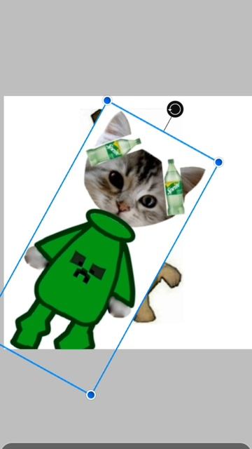 у меня много друзей