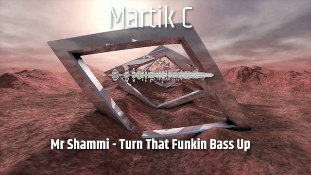 Mr Shammi - Turn That Funkin Bass Up (Martik C Rmx Instrumental)