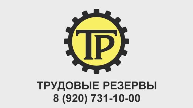 Расчистка участка техникой с вывозом, Шубина