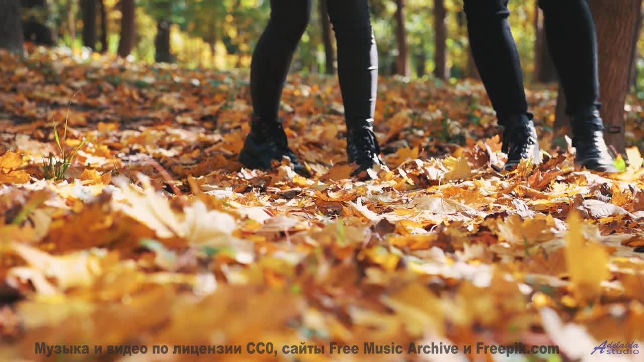 Леса шепчут свои истории вместе с этим треком - Everybody Keep Running (EDM  Instrumental) -- Zight
