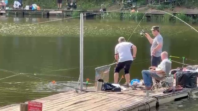 Дуплет Карпа