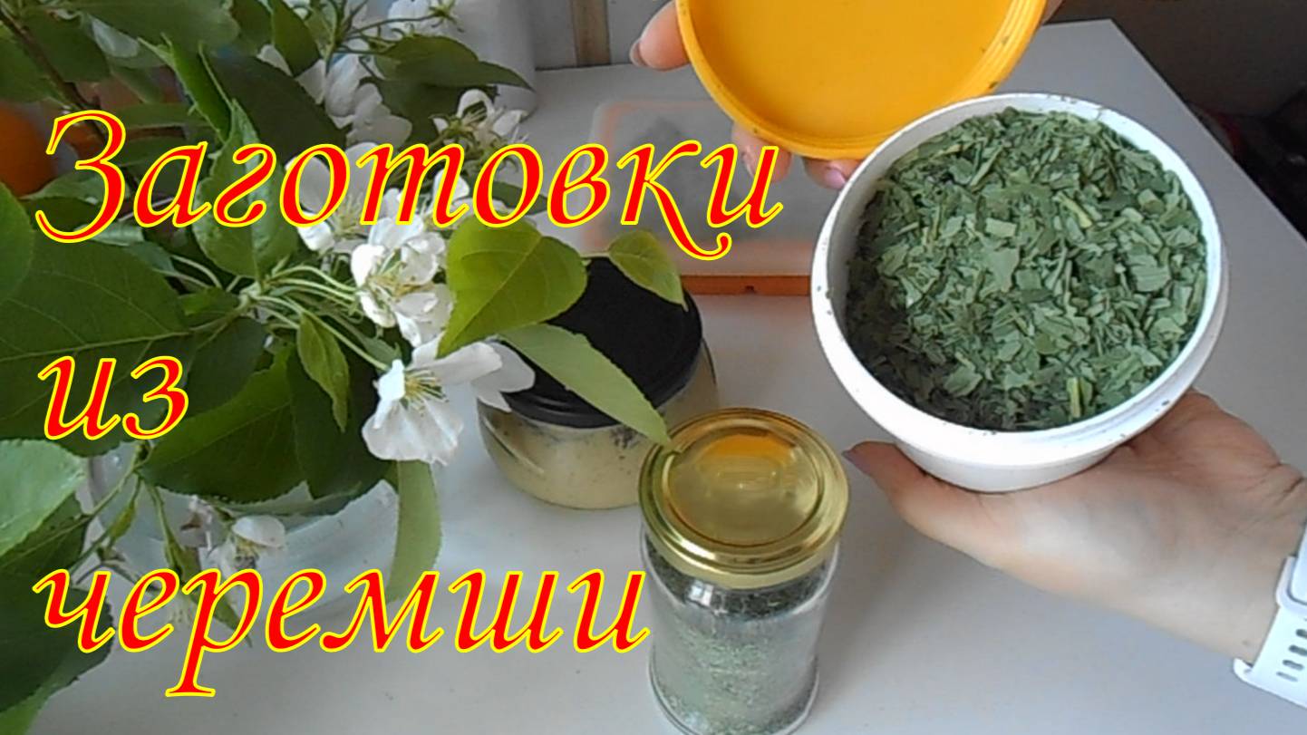 Заготовки из черемши