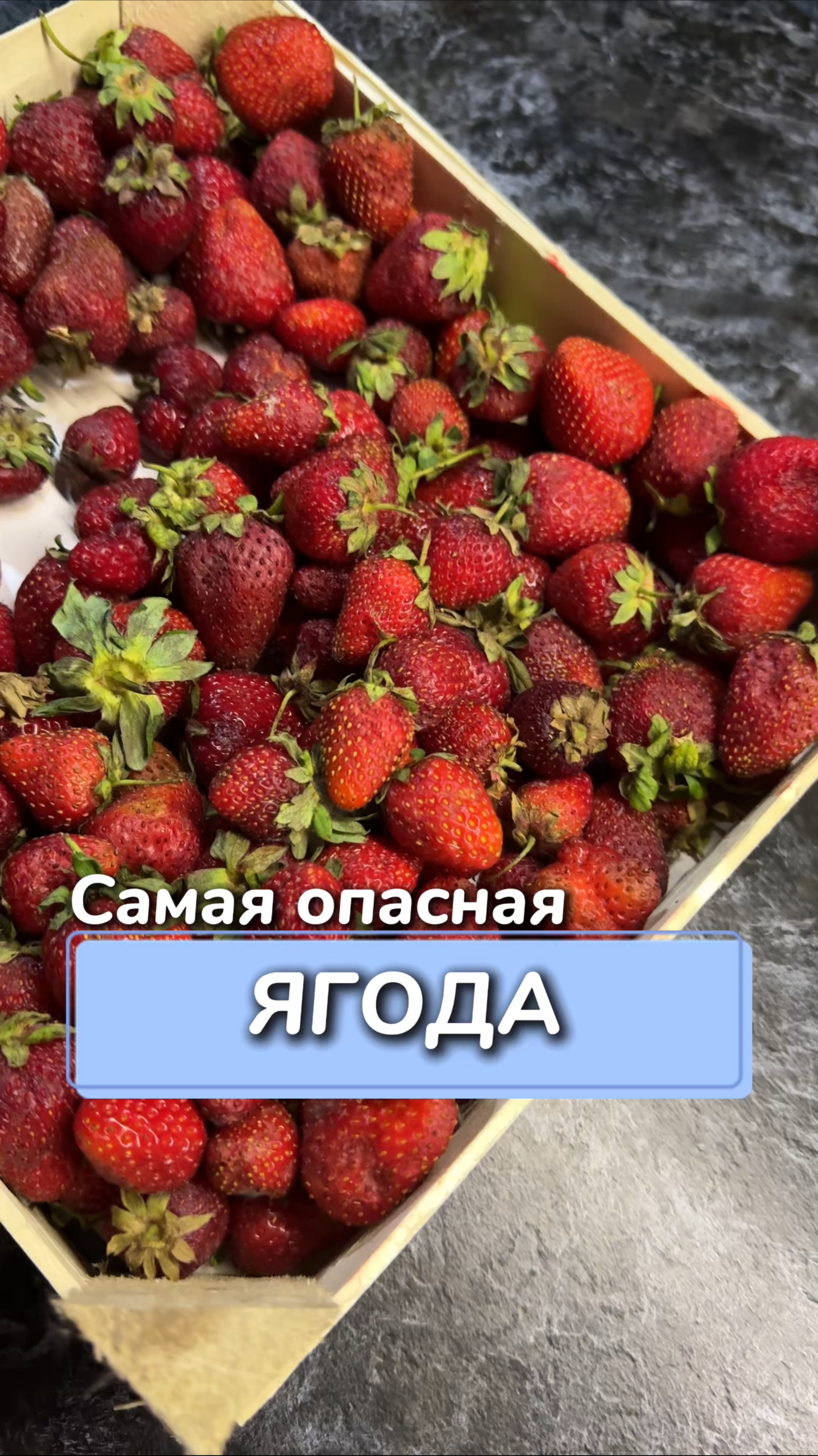 Самая опасная ягода
Артикул на WB #93550775
Ozon #655295171