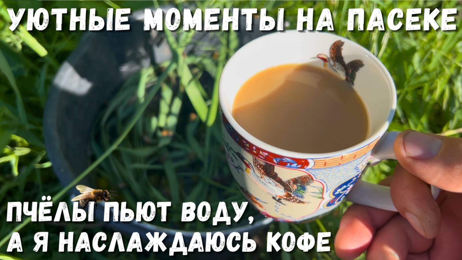 Время на пасеке: наблюдение за пчелами с чашкой кофе!