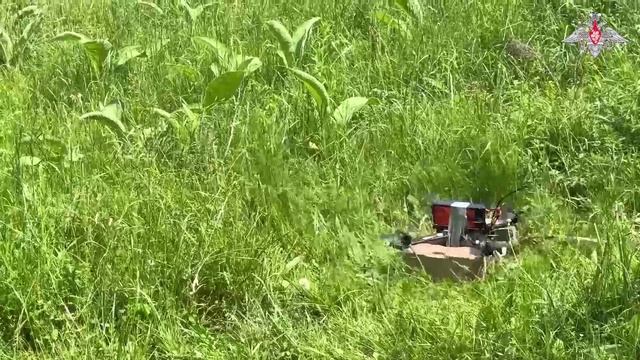 Боевая работа операторов FPV-дронов
