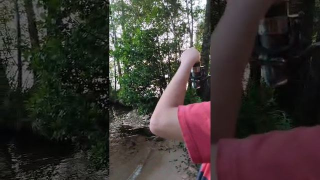 Вечерний релакс и приятный бонус! 🎣🌙
