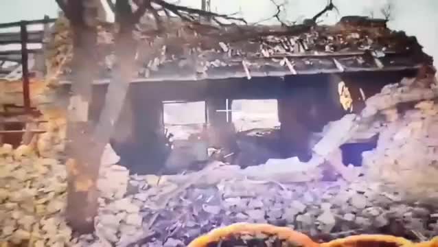 А давайте в прятки?!