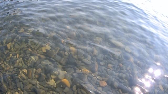 Море супер Пляж Большой Утриш от Анапы
