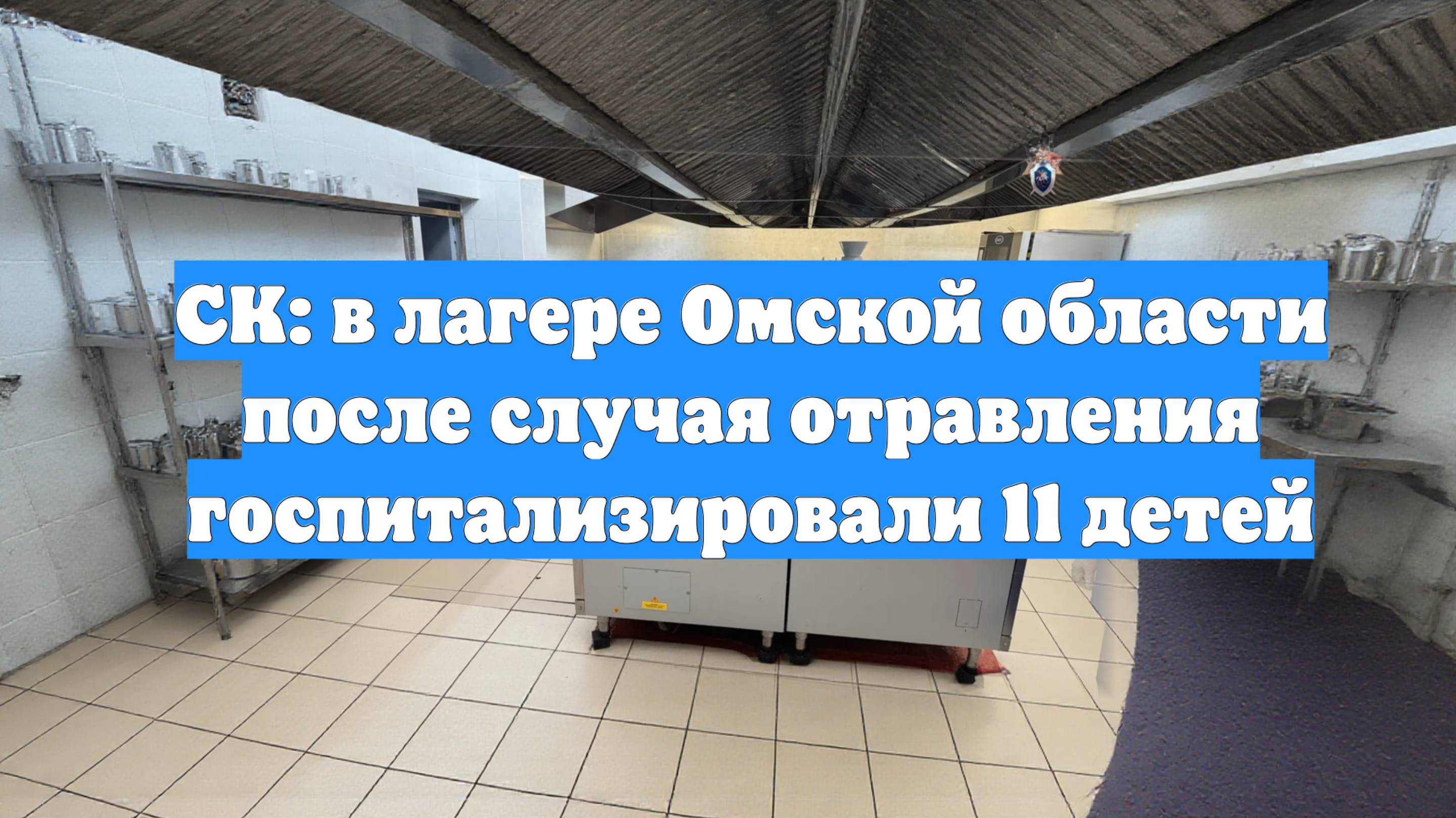 СК: в лагере Омской области после случая отравления госпитализировали 11 детей