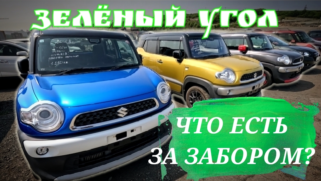 ЧТО ЕСТЬ ЗА ЗАБОРОМ?
