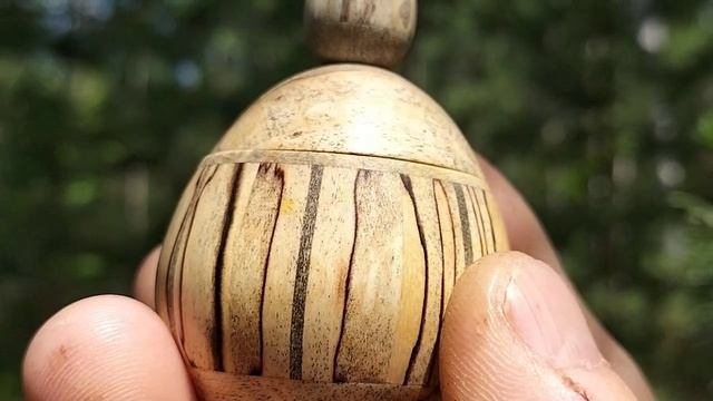 Шкатулка в июньском лесу на трёхствольной березе
