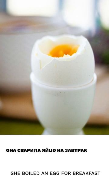 Яйцо