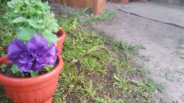 VID_20250607_184519.mp4