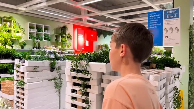 Мистер Макс Новые декорации в домики
